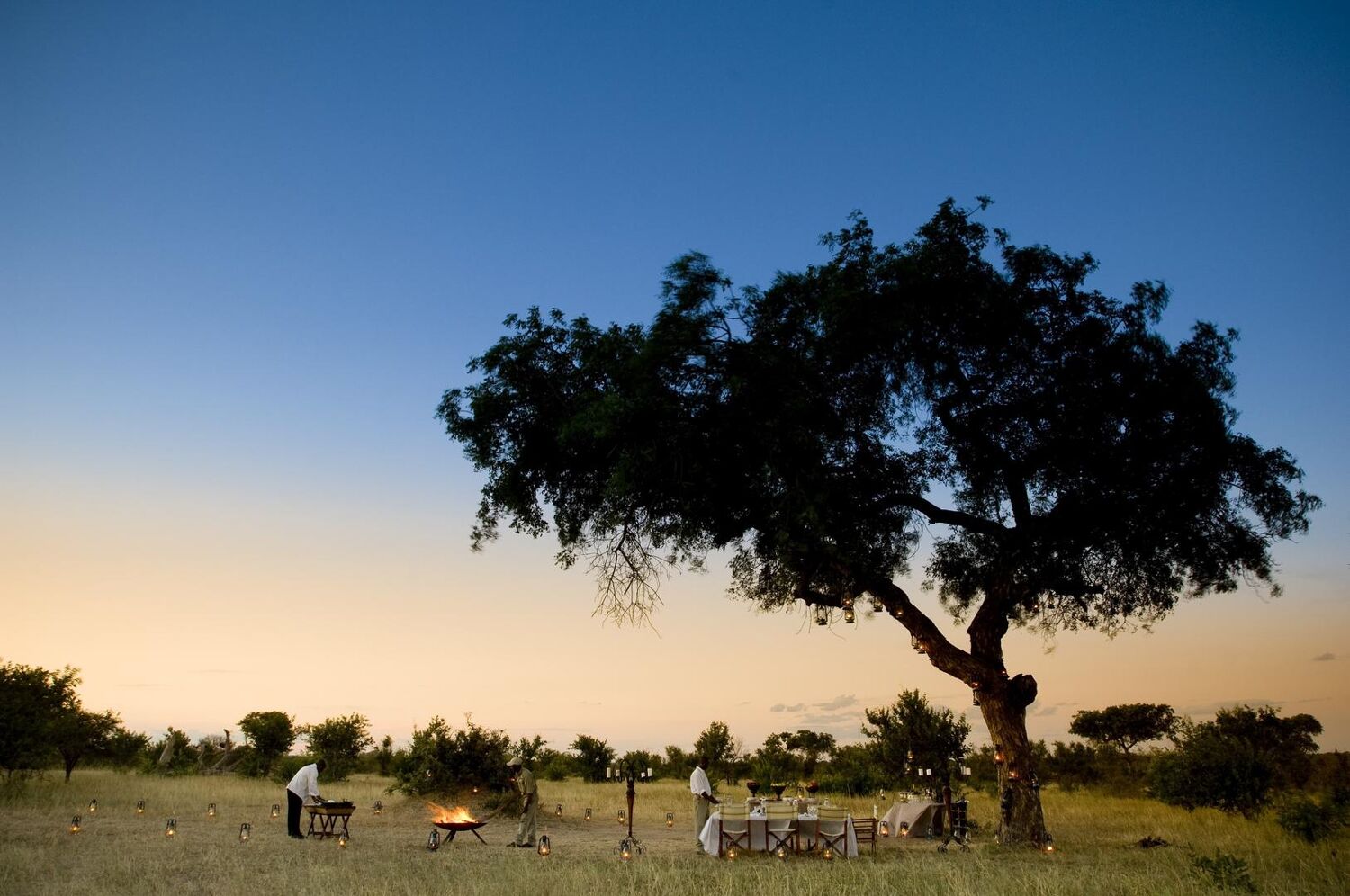 PlaceholderImage1302